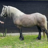 Lagalgarve River Clyde - SOLD