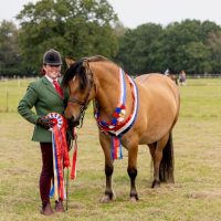 FREYA OF NEATY - SOLD