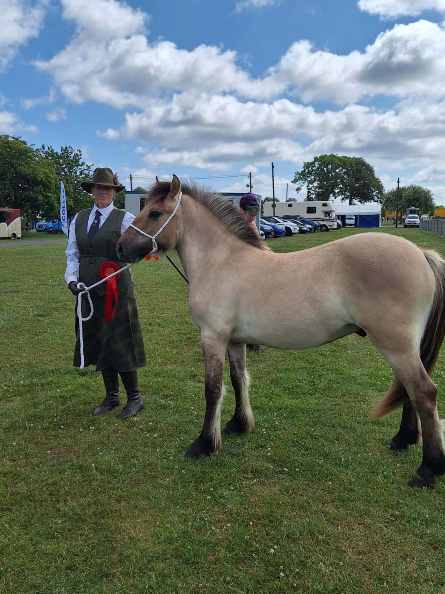 Honeywick Harrier - Image 3
