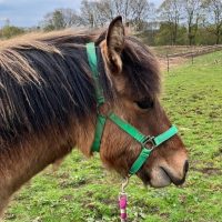 Balhernoch Coire (Corrie)