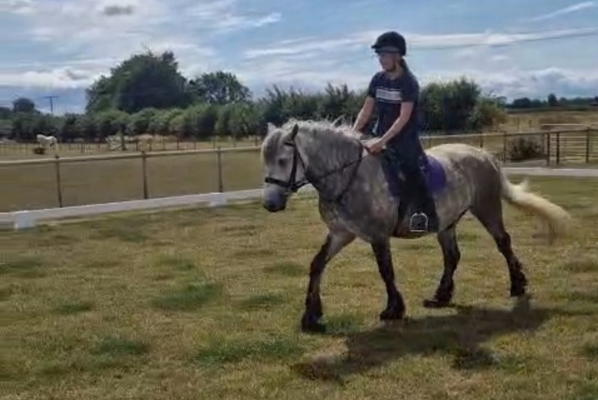 Antares Fingal - Image 2