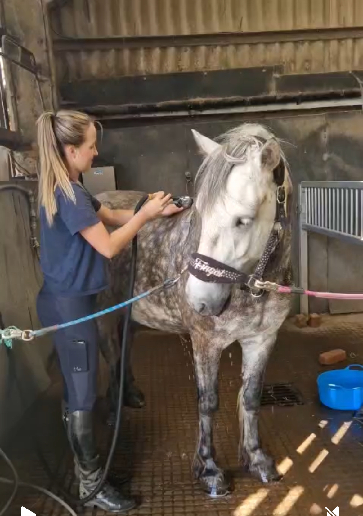 Antares Fingal - Image 3