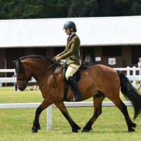 Lochlands Man on the Moon