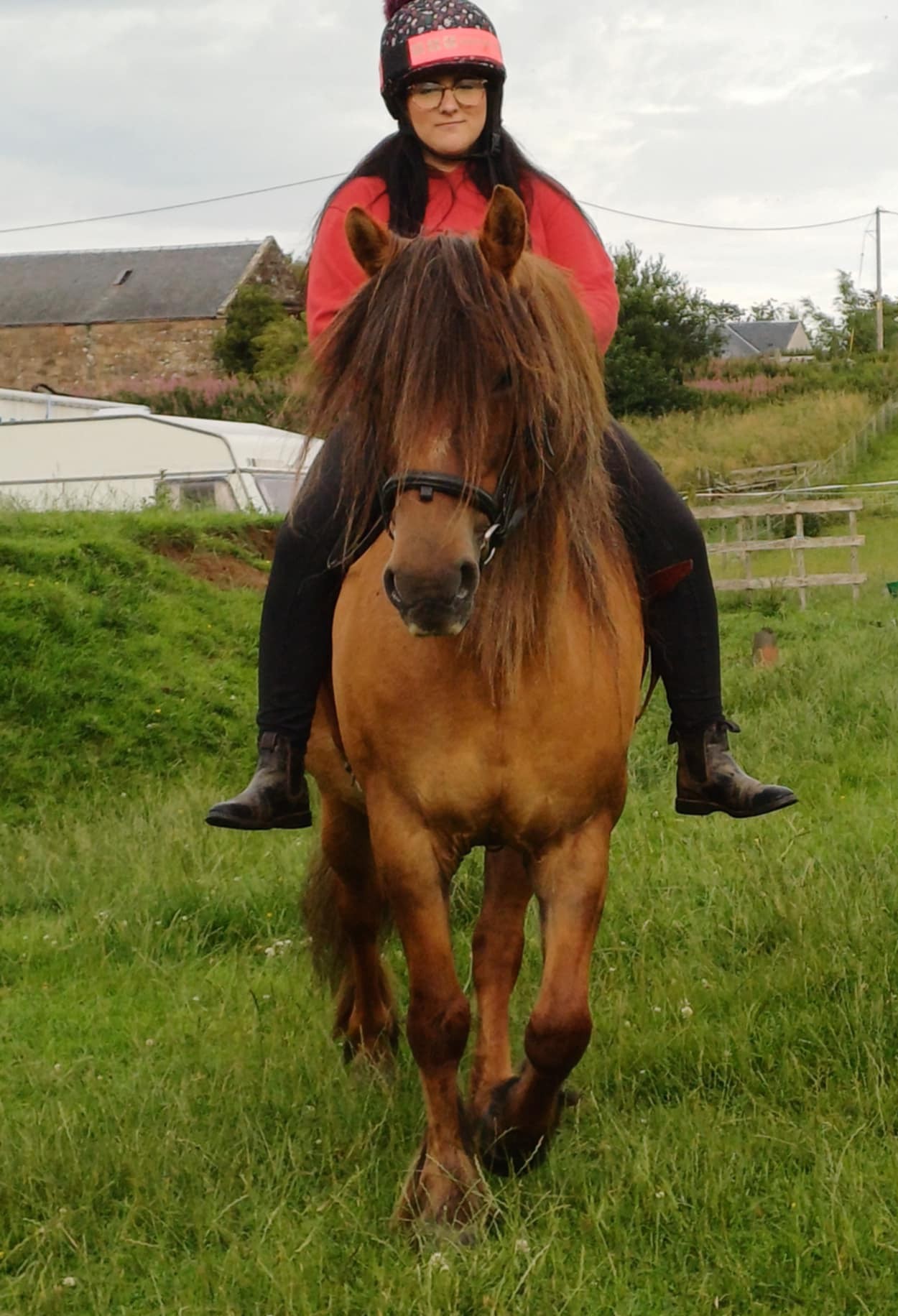 Seonaid Mhor of Castle Green - Image 6