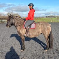 SOLD - Heather Honey of Croila