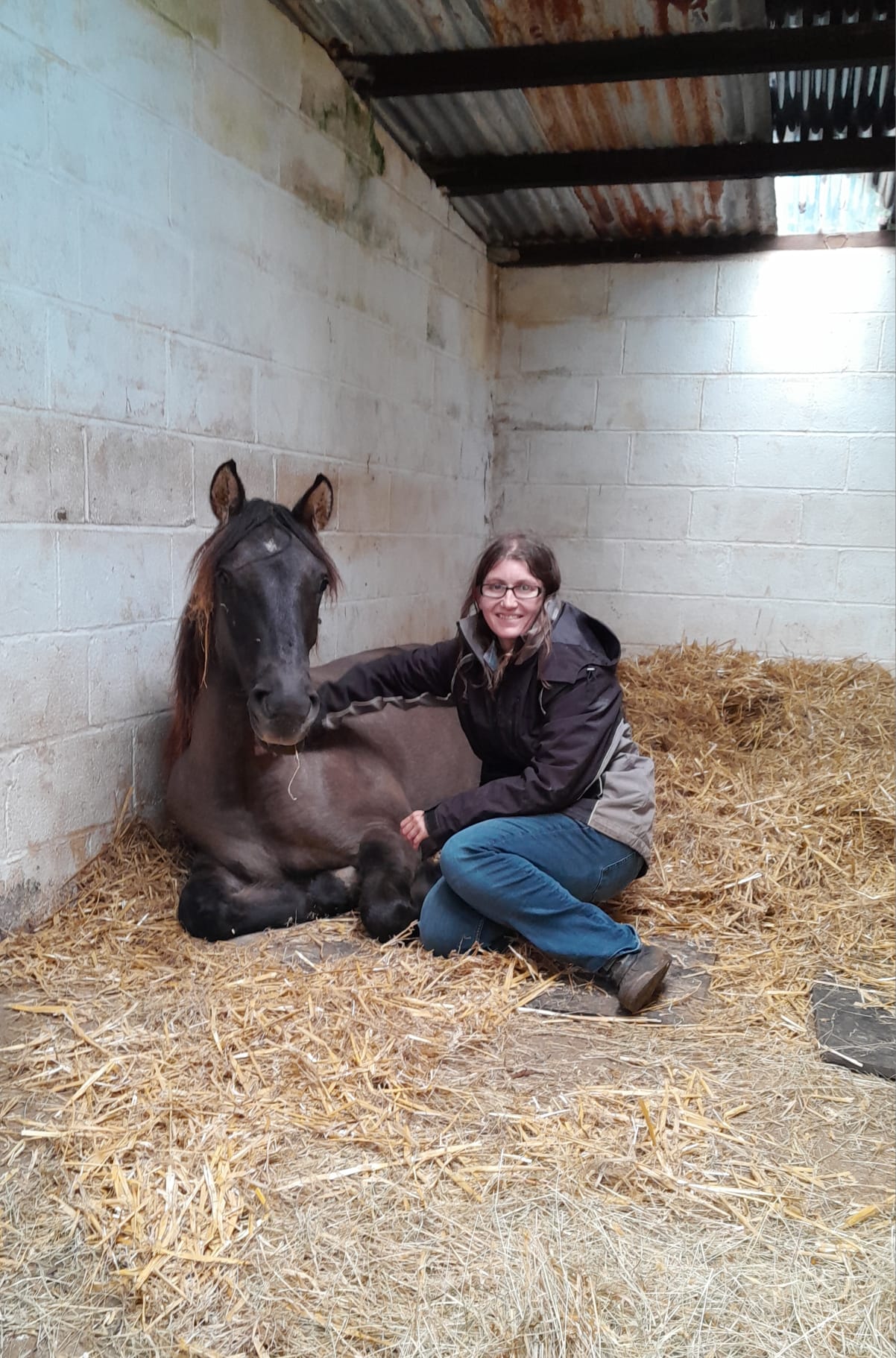 Sold - Fair Sky of Suffield - Image 3