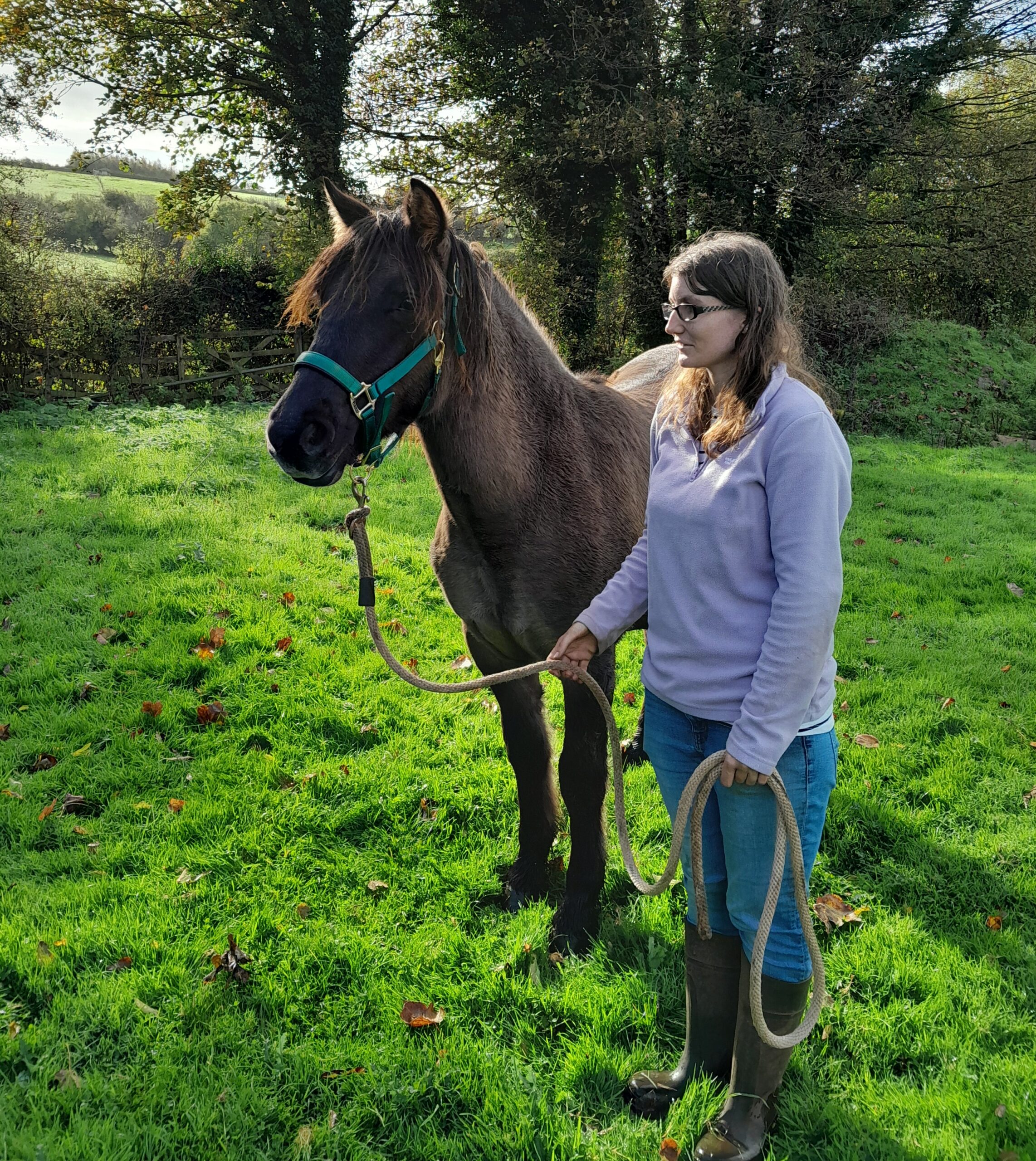 Sold - Fair Sky of Suffield - Image 4