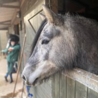 Sold - Aberdona Etoile