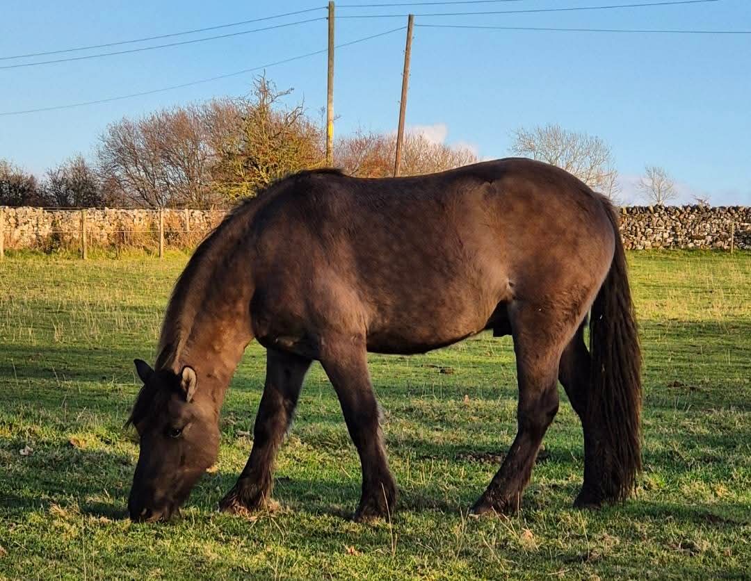 Watermillock Jura - Image 2