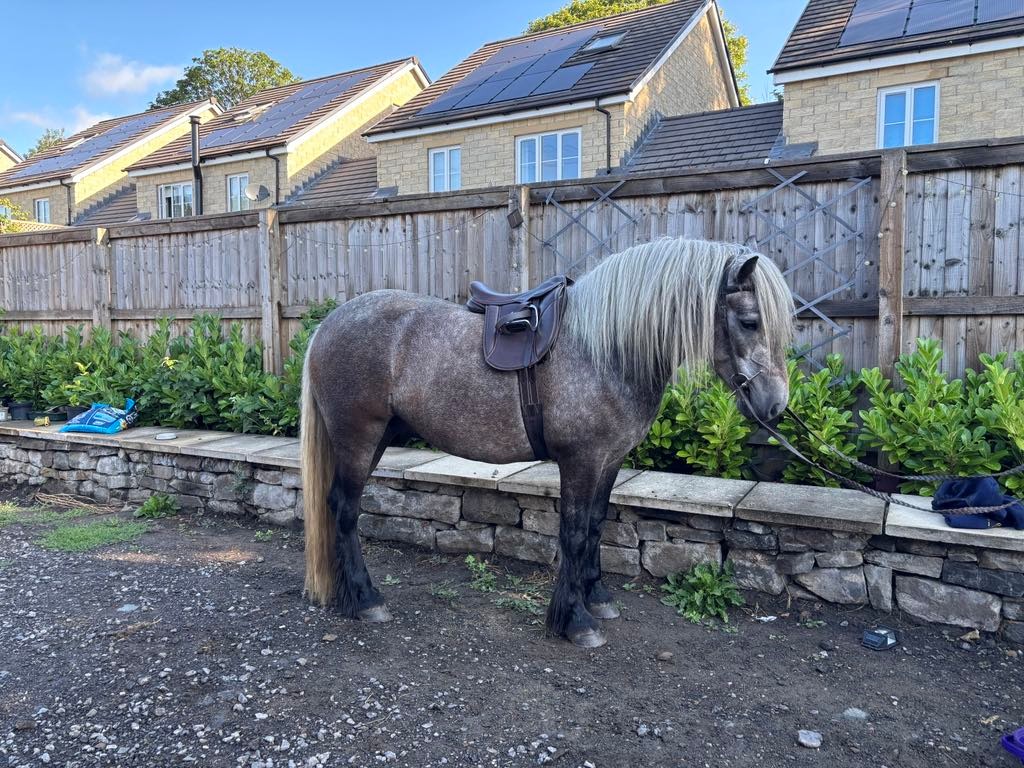 Lagalgarve River Clyde - Image 9