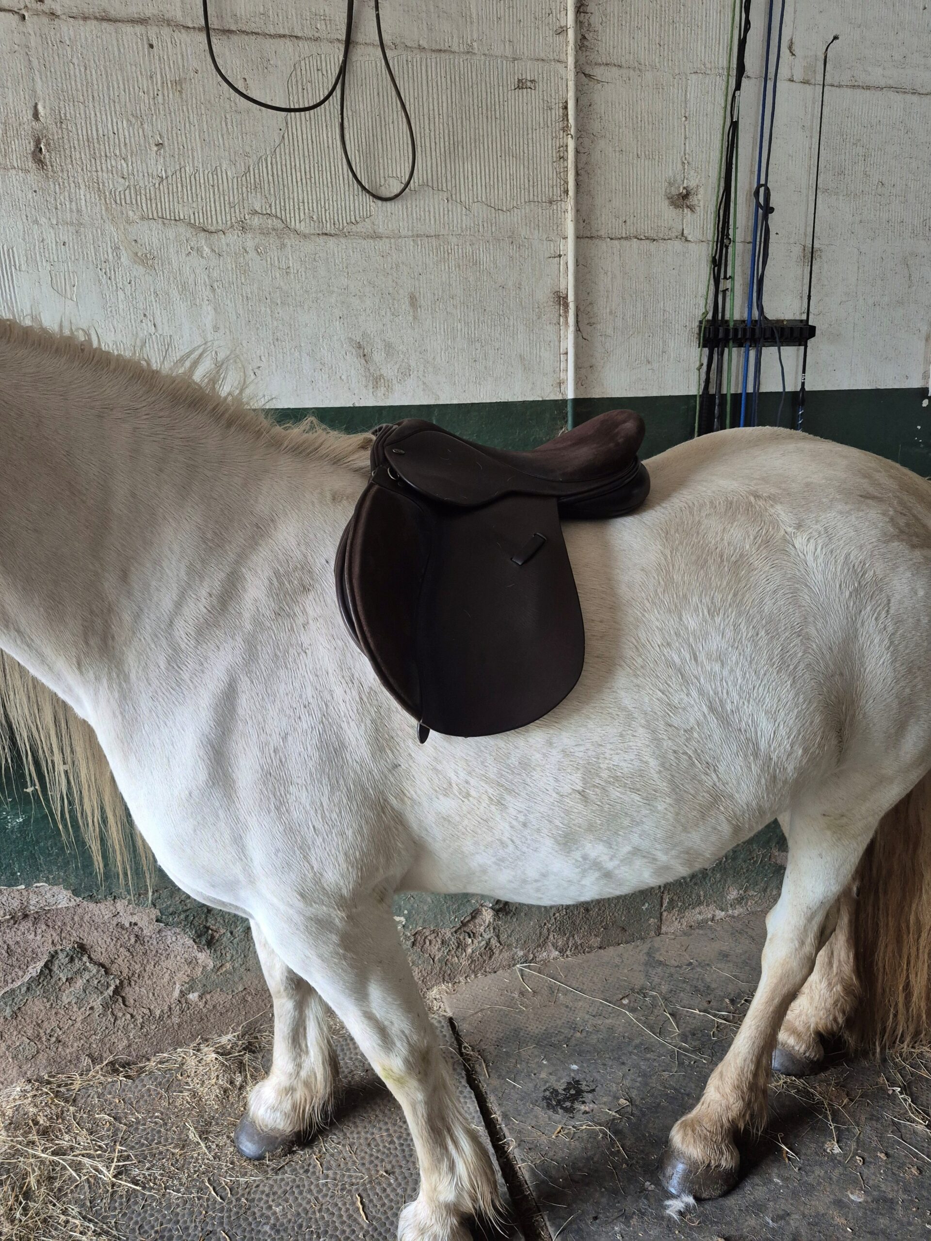 Highland Pony GP Saddle - Image 2