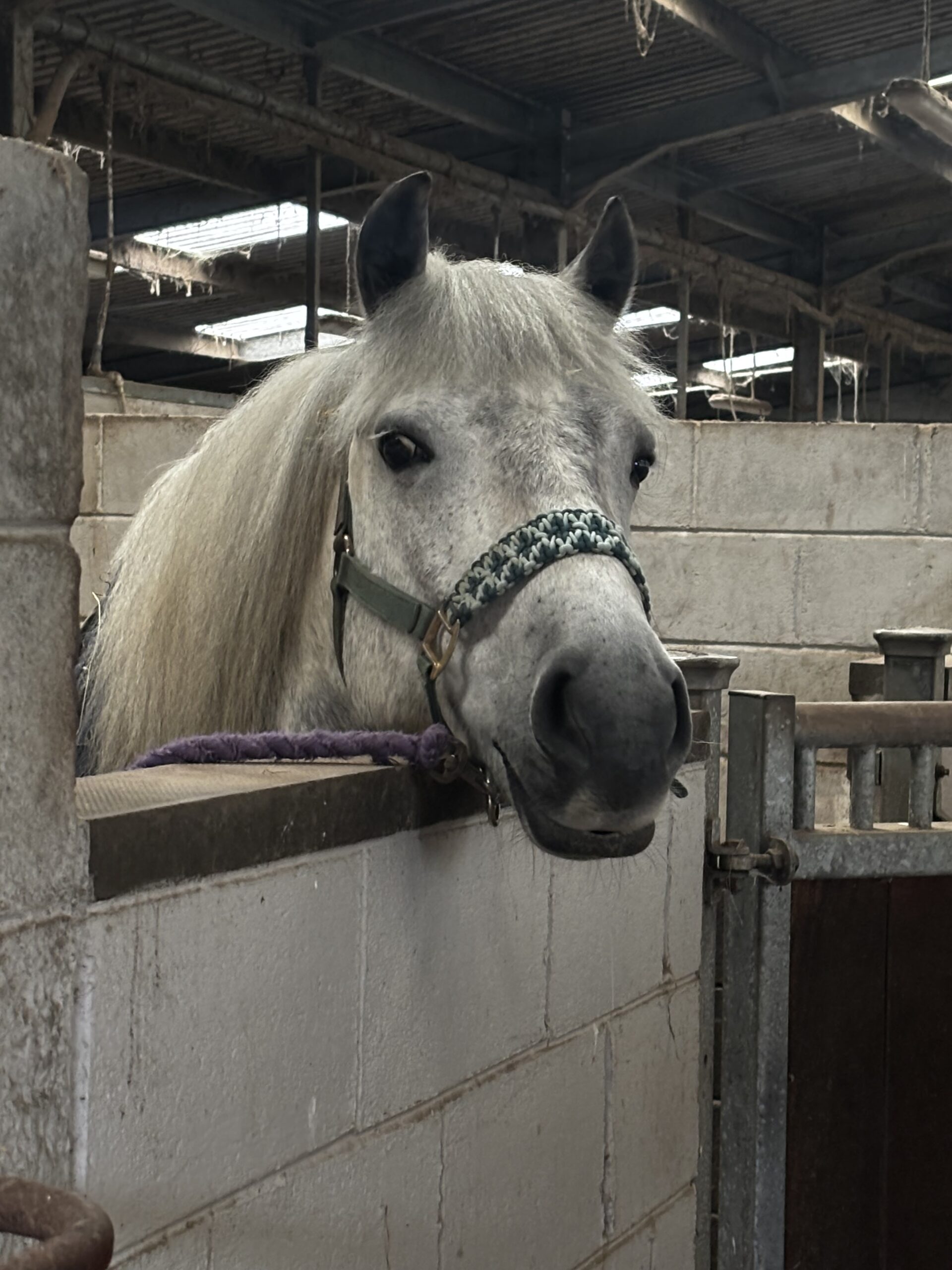 Ronay An Caladh - Image 2