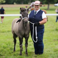2026 Breed Show Images
