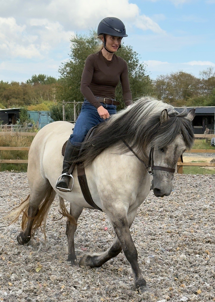STUNNING CREAM DUN MARE - Image 2