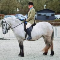 Beautiful 4 year old Highland Mare 14hh
